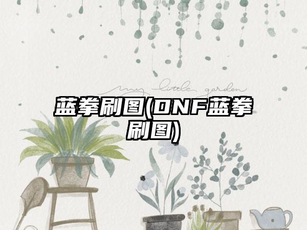 蓝拳刷图(DNF蓝拳刷图)