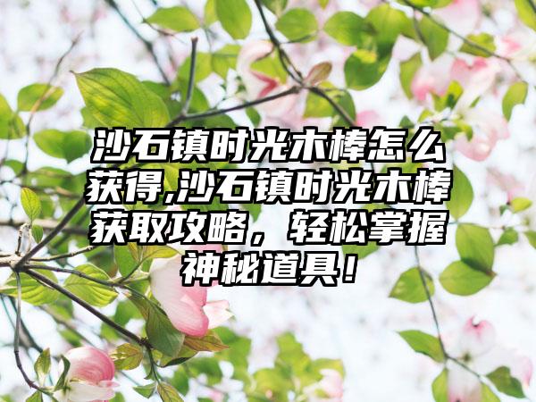 沙石镇时光木棒怎么获得,沙石镇时光木棒获取攻略，轻松掌握神秘道具！