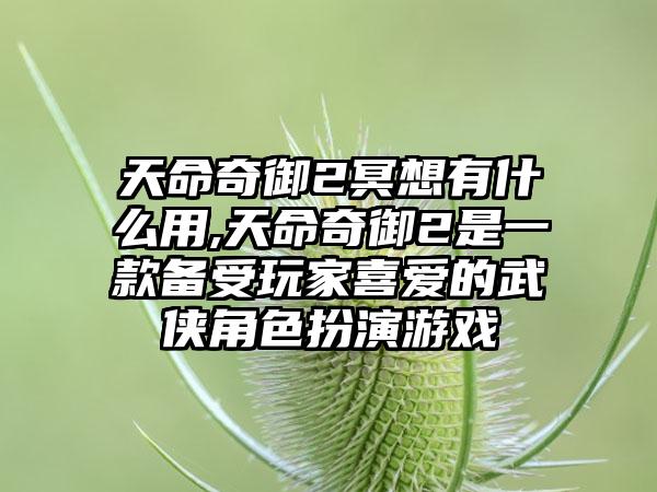 天命奇御2冥想有什么用,天命奇御2是一款备受玩家喜爱的武侠角色扮演游戏