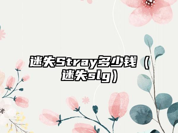 迷失Stray多少钱（迷失slg）