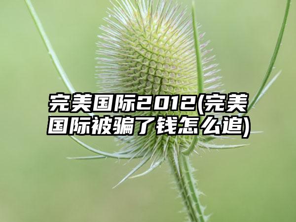 完美国际2012(完美国际被骗了钱怎么追)