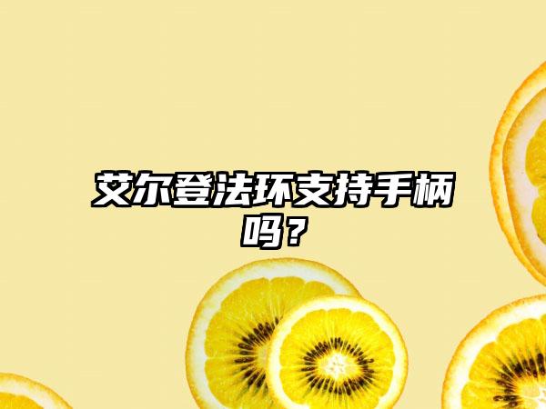 艾尔登法环支持手柄吗?