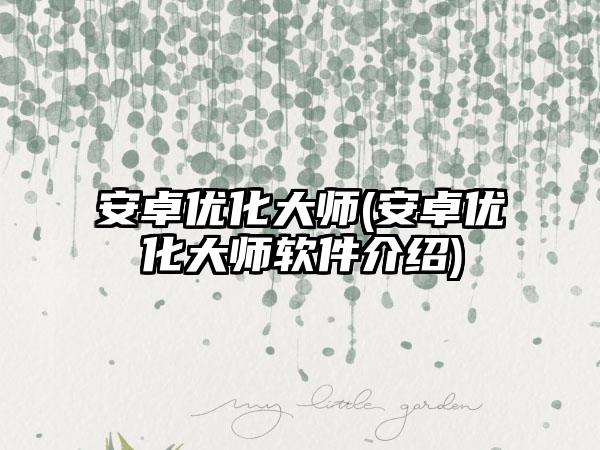 安卓优化大师(安卓优化大师软件介绍)