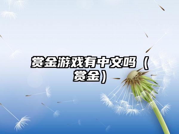 赏金游戏有中文吗（赏金）