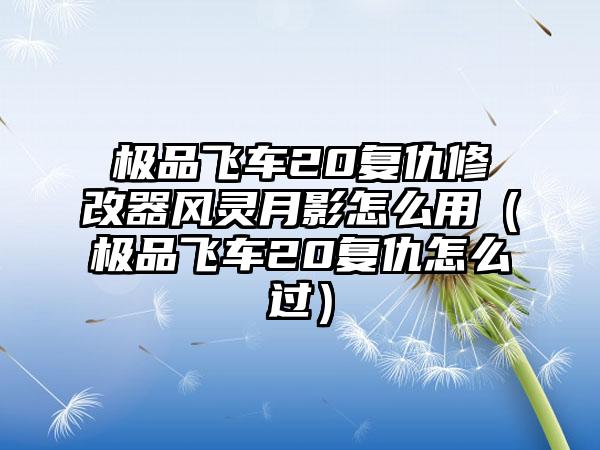 极品飞车20复仇修改器风灵月影怎么用（极品飞车20复仇怎么过）