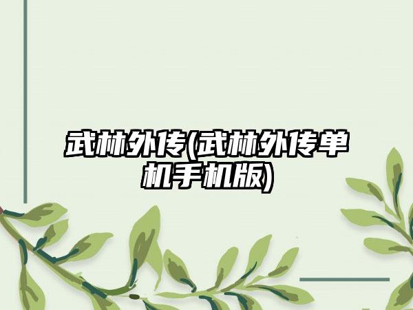 武林外传(武林外传单机手机版)