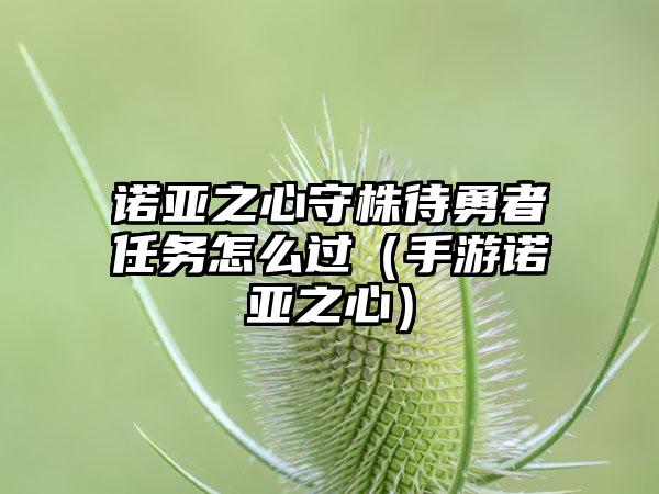 诺亚之心守株待勇者任务怎么过（手游诺亚之心）