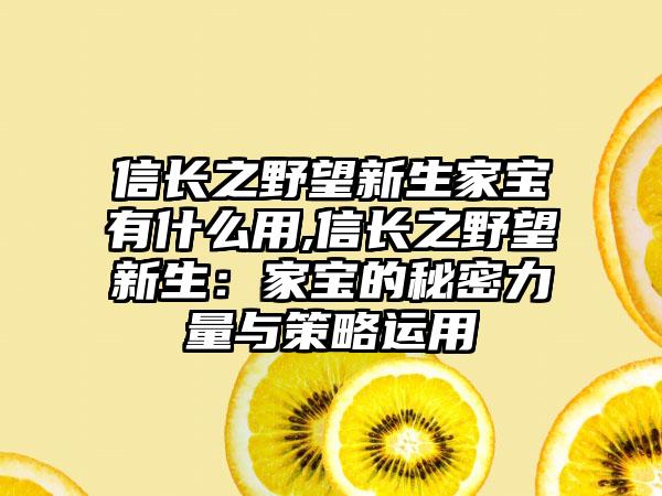 信长之野望新生家宝有什么用,信长之野望新生：家宝的秘密力量与策略运用