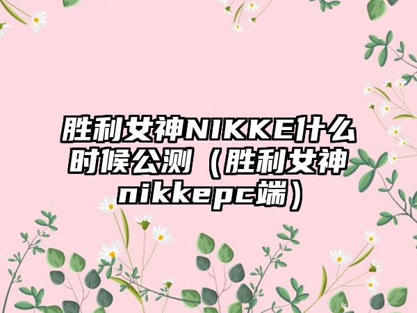 胜利女神NIKKE什么时候公测（胜利女神nikkepc端）
