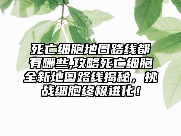死亡细胞地图路线都有哪些,攻略死亡细胞全新地图路线揭秘，挑战细胞终极进化！