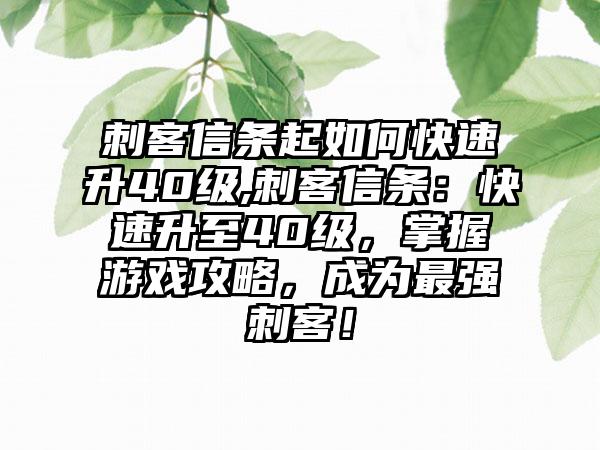 刺客信条起如何快速升40级,刺客信条：快速升至40级，掌握游戏攻略，成为最强刺客！
