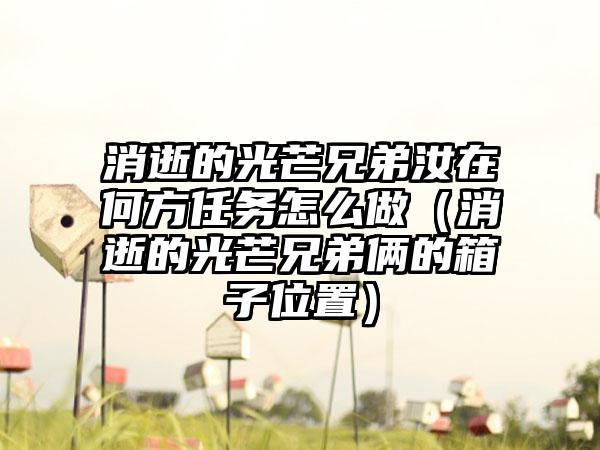 消逝的光芒兄弟汝在何方任务怎么做（消逝的光芒兄弟俩的箱子位置）