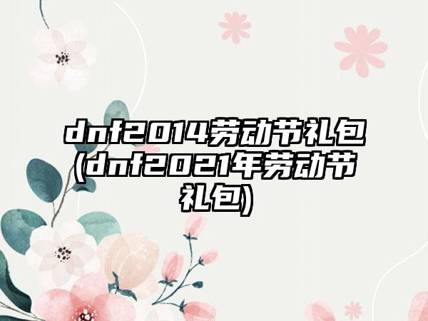 dnf2014劳动节礼包(dnf2021年劳动节礼包)