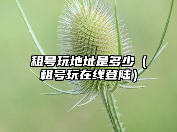 租号玩地址是多少（租号玩在线登陆）