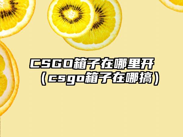 CSGO箱子在哪里开（csgo箱子在哪搞）