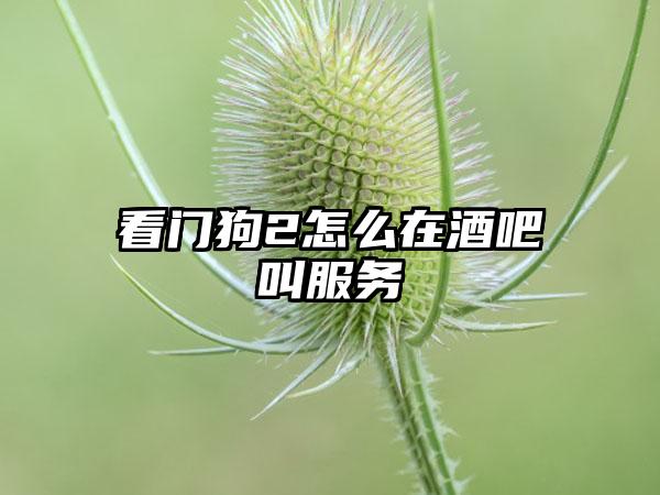 看门狗2怎么在酒吧叫服务