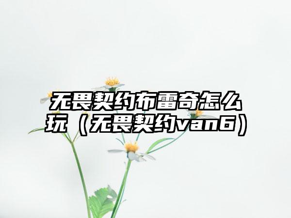 无畏契约布雷奇怎么玩（无畏契约van6）