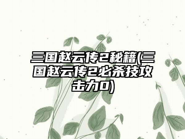 三国赵云传2秘籍(三国赵云传2必杀技攻击力0)