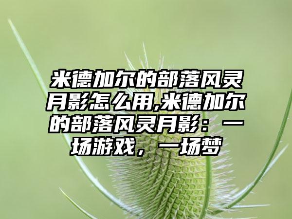 米德加尔的部落风灵月影怎么用,米德加尔的部落风灵月影：一场游戏，一场梦