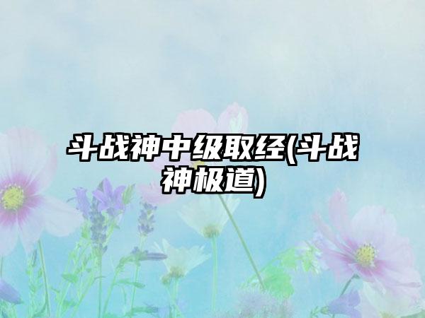 斗战神中级取经(斗战神极道)