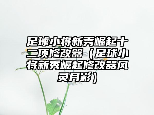 足球小将新秀崛起十二项修改器（足球小将新秀崛起修改器风灵月影）