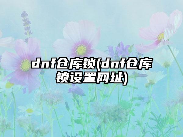 dnf仓库锁(dnf仓库锁设置网址)