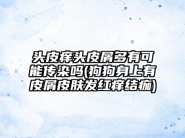 头皮痒头皮屑多有可能传染吗(狗狗身上有皮屑皮肤发红痒结痂)