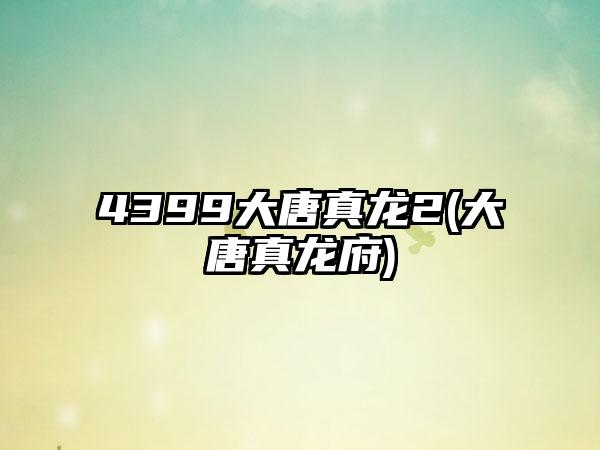 4399大唐真龙2(大唐真龙府)