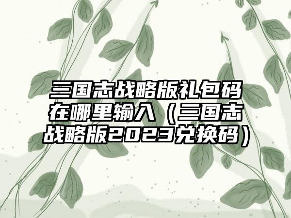 三国志战略版礼包码在哪里输入（三国志战略版2023兑换码）