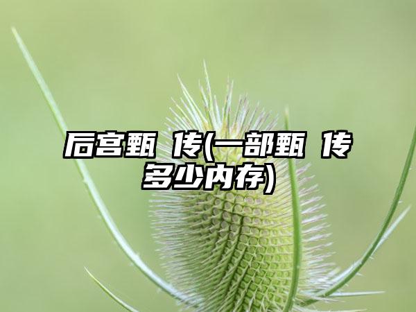 后宫甄嬛传(一部甄嬛传多少内存)