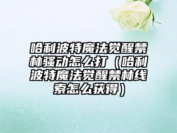 哈利波特魔法觉醒禁林骚动怎么打（哈利波特魔法觉醒禁林线索怎么获得）