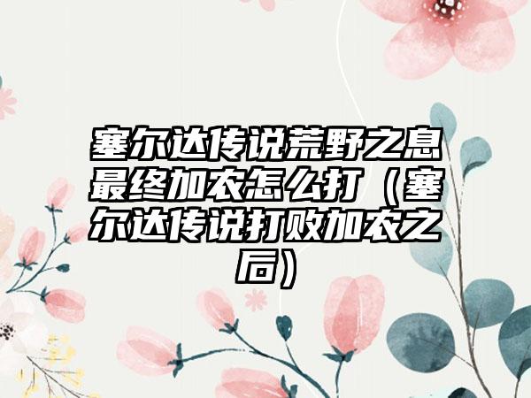 塞尔达传说荒野之息最终加农怎么打（塞尔达传说打败加农之后）