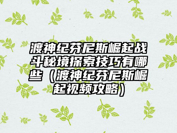渡神纪芬尼斯崛起战斗秘境探索技巧有哪些（渡神纪芬尼斯崛起视频攻略）