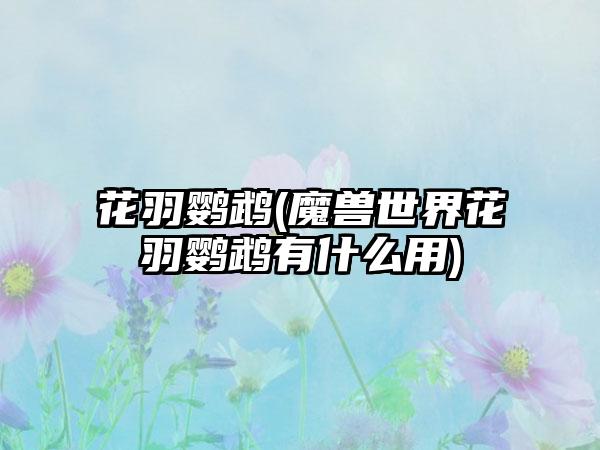 花羽鹦鹉(魔兽世界花羽鹦鹉有什么用)