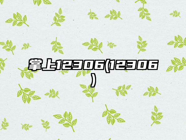 掌上12306(12306)