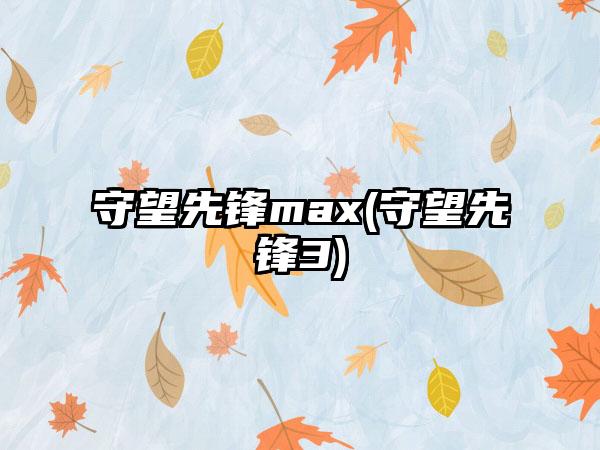 守望先锋max(守望先锋3)