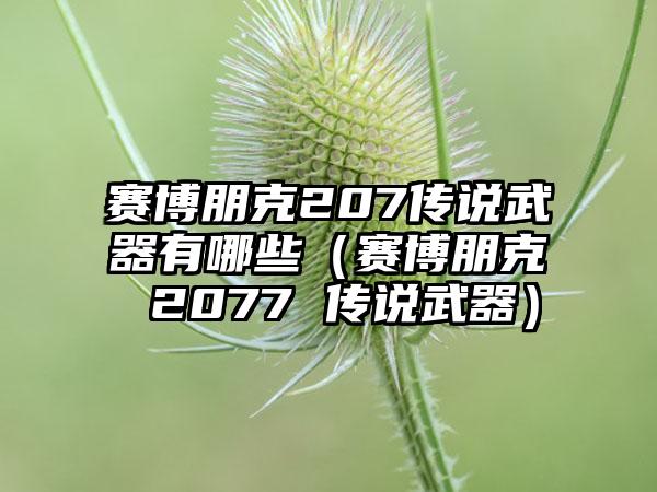 赛博朋克207传说武器有哪些（赛博朋克 2077 传说武器）