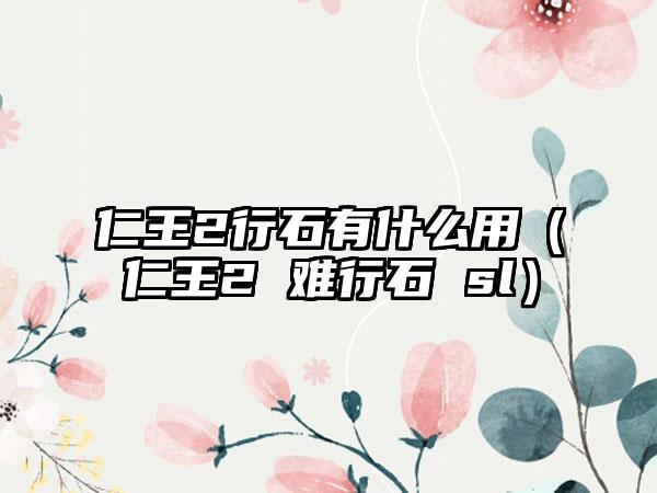 仁王2行石有什么用（仁王2 难行石 sl）
