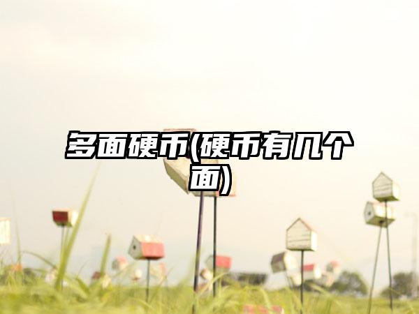 多面硬币(硬币有几个面)