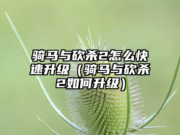 骑马与砍杀2怎么快速升级（骑马与砍杀2如何升级）