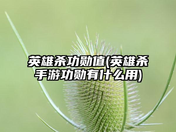 英雄杀功勋值(英雄杀手游功勋有什么用)