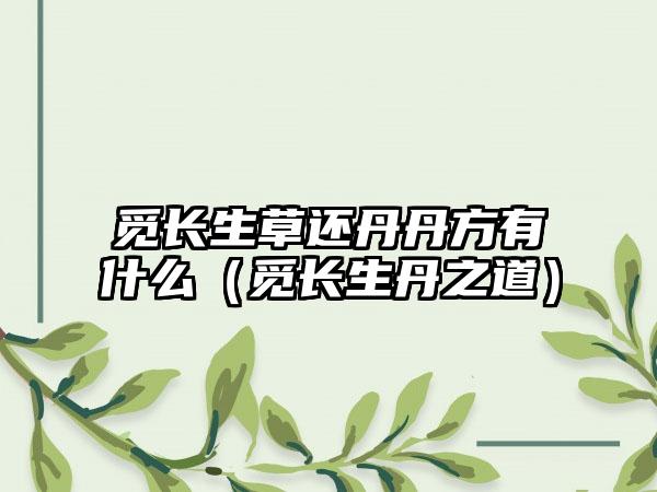 觅长生草还丹丹方有什么（觅长生丹之道）