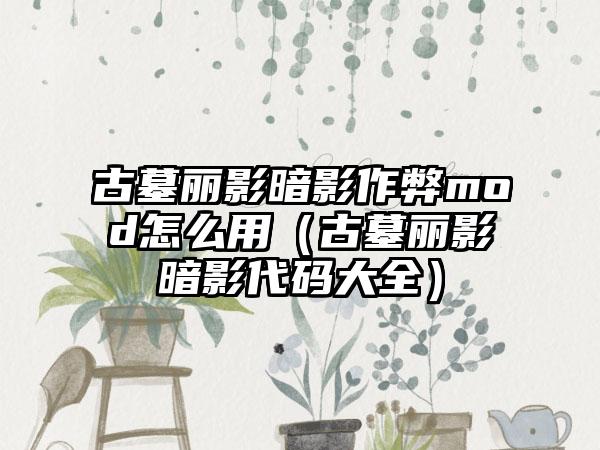 古墓丽影暗影作弊mod怎么用（古墓丽影暗影代码大全）