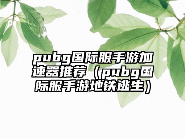 pubg国际服手游加速器推荐（pubg国际服手游地铁逃生）
