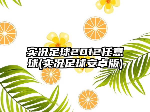 实况足球2012任意球(实况足球安卓版)