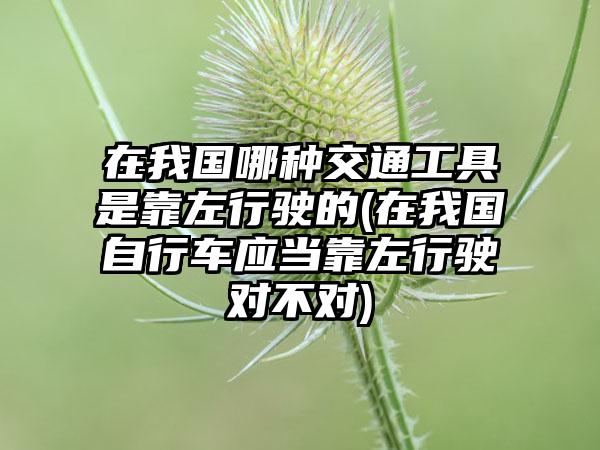 在我国哪种交通工具是靠左行驶的(在我国自行车应当靠左行驶对不对)