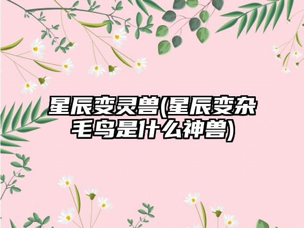 星辰变灵兽(星辰变杂毛鸟是什么神兽)