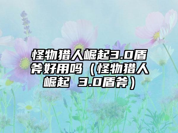 怪物猎人崛起3.0盾斧好用吗（怪物猎人崛起 3.0盾斧）