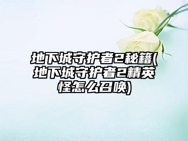 地下城守护者2秘籍(地下城守护者2精英怪怎么召唤)