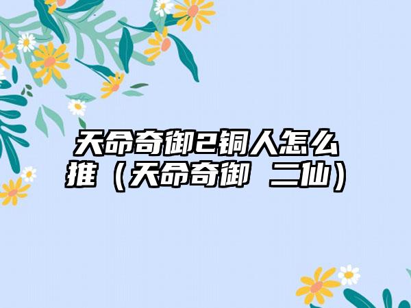 天命奇御2铜人怎么推（天命奇御 二仙）